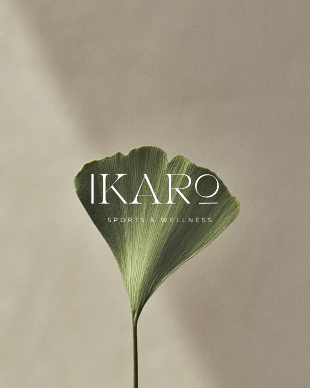IKARO About